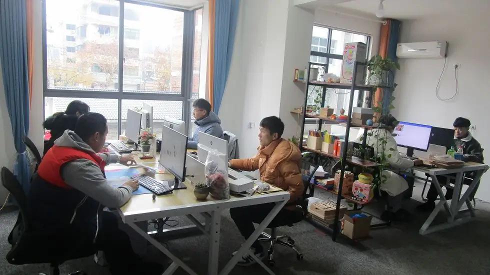 Lishui Dachen Toy Co., Ltd.