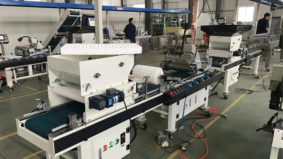 Ningbo Greenpower Agriculture Technology Co., Ltd.