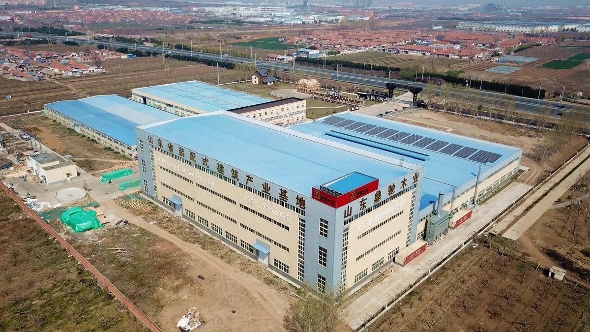 Shandong Dingchi Wood Group Co., Ltd.