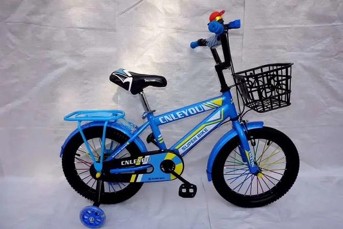 Hebei Leyou Bicycle Co., Ltd