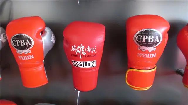 Shijiazhuang Wolon Sports Goods Co., Ltd.