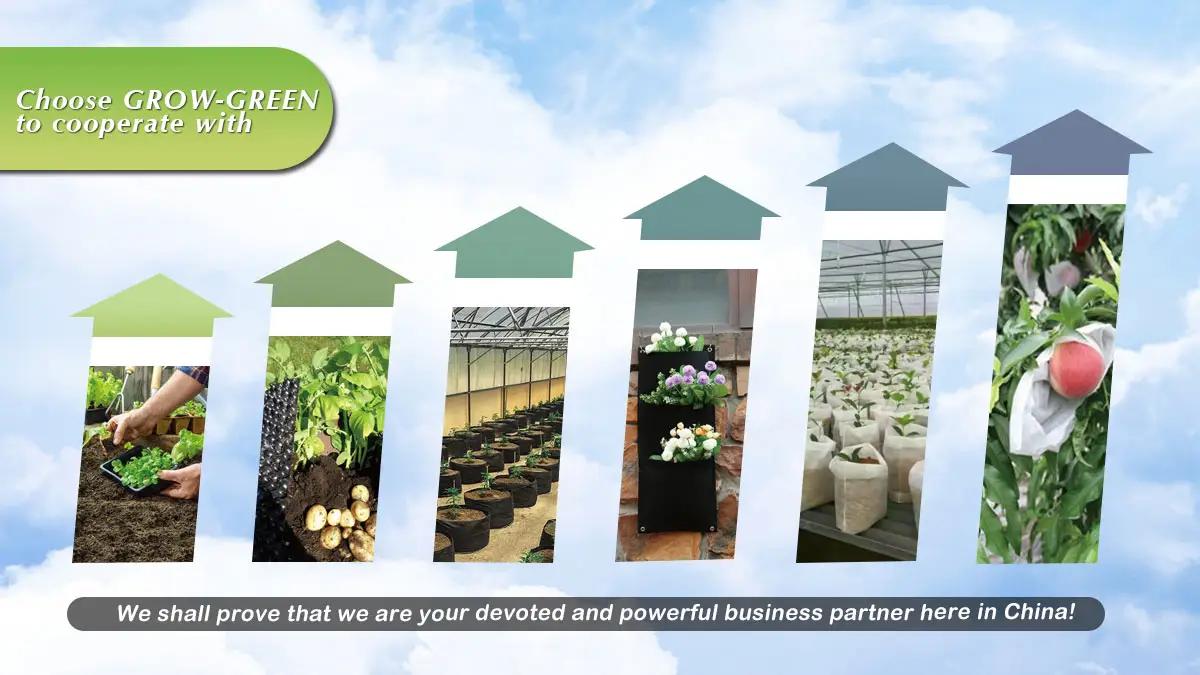 Jiangsu Grow-Green Agriculture Science And Technology Co., Ltd.