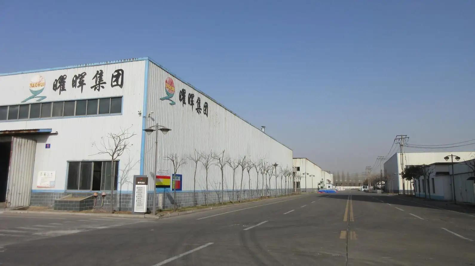 Shandong Yaohui Group Co., Ltd.