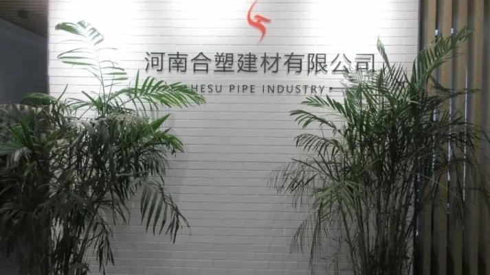 Henan Hesu Group Co., Ltd.
