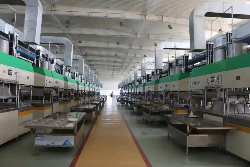 Anhui Senang Green Technology Co., Ltd.