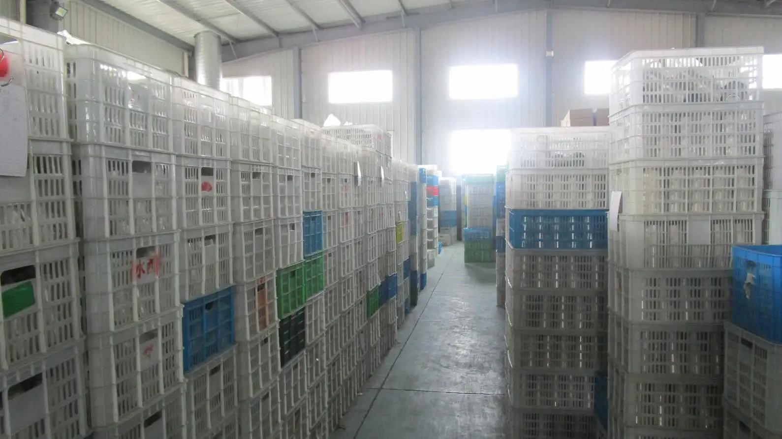 Supplier