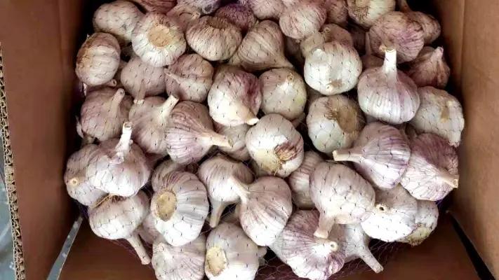 Jining Fenduni Foodstuff Co., Ltd.