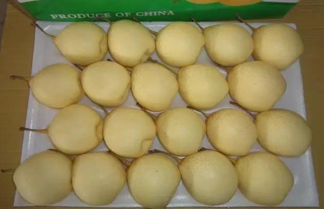 Jining Optimum Fruits & Vegetables Co., Ltd.