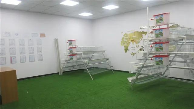 Anping Shuxin Wire Mesh Manufactory Co., Ltd.
