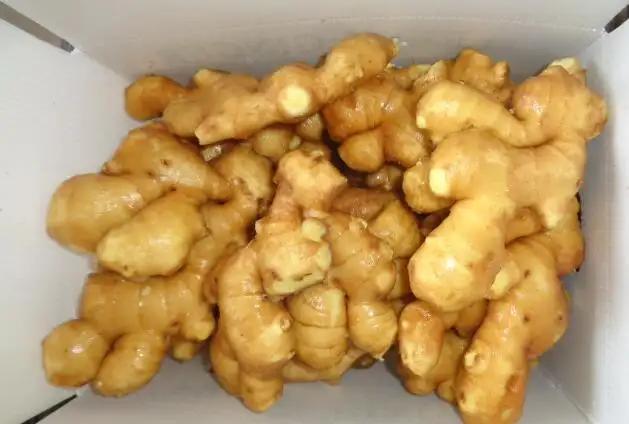 Jining Optimum Fruits & Vegetables Co., Ltd.