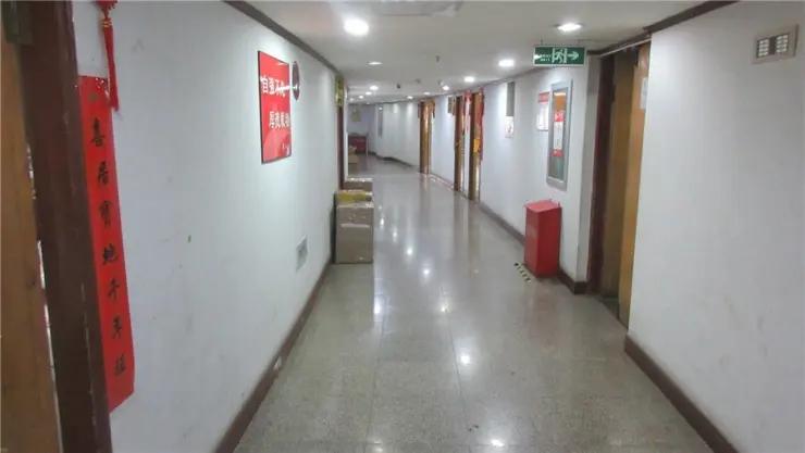Shandong Haijin International Trading Co., Ltd.