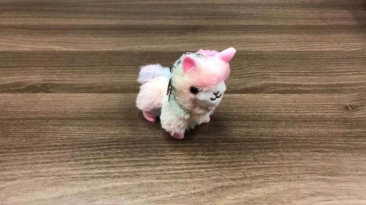 Yiwu Dolphineshow Trading Co., Ltd.