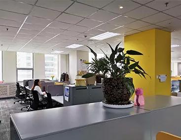 Anshan Go Home Intelligent Technology Co., Ltd.