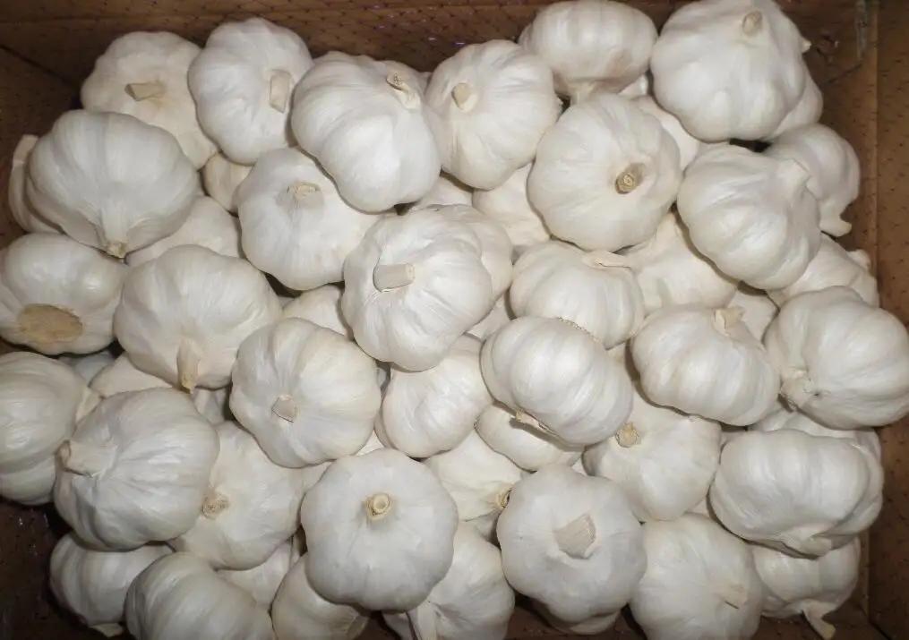 Jining Optimum Fruits & Vegetables Co., Ltd.