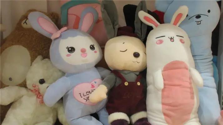 Yangzhou Dixin Toys Co., Ltd.