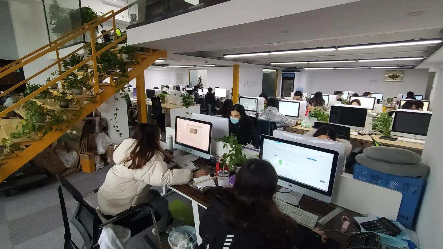 Sichuan Locusts Network Technology Co., Ltd.