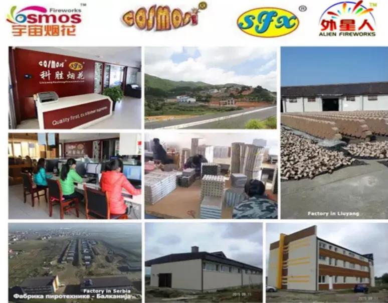 Liuyang Kesheng Trading Co., Ltd.