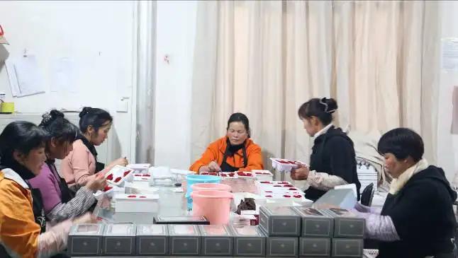 Shilin Hualai Preserved Flowers Co., Ltd.