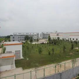 Qingdao Longyuan Xinchang Packing Material Co., Ltd.