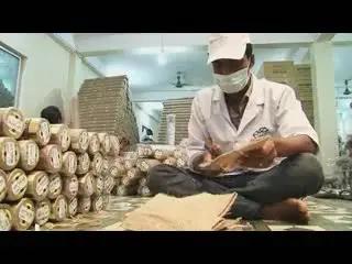 DIAMOND JUTE DIVERSIFICATION & CO.