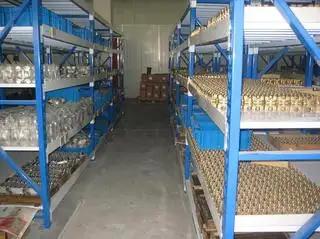 Supplier