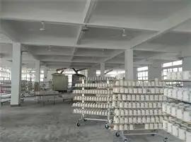 Jingdezhen Suolide Ceramic Co., Ltd.