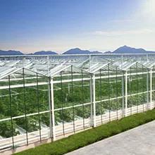 Shandong Fuma Agriculture And Technology Co., Ltd.