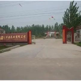 Cao County Huifengyuan Wooden Co., Ltd.