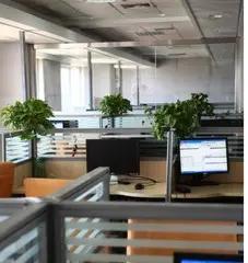 Taizhou Huangyan Qiwei Plastic Co., Ltd.