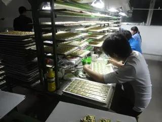 Supplier