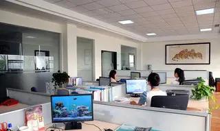 Yiwu Zunqiang Commodity Co., Ltd.