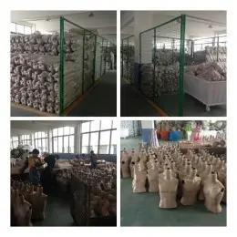 Supplier