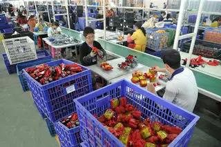 Supplier