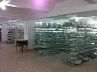 Ningbo Haishu Keluo International Trade Co., Ltd.