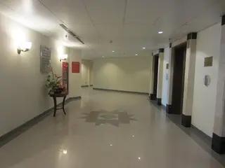 VIVA HOLDING INVESTMENT CONSULTING COMPANY LIMITED