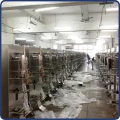 Wenzhou Kingpak Manufacturing Co., Ltd.