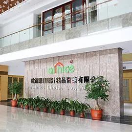 Shenzhen Allnice Choice Industrial And Trading Co., Ltd.