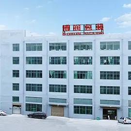Zhejiang Borun Printing Technology Co., Ltd.