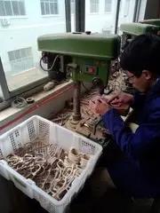 Yiwu Sentai Glasses Co., Ltd.