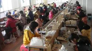 Supplier