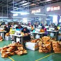 Wenzhou Gongfan Packing Co., Ltd.