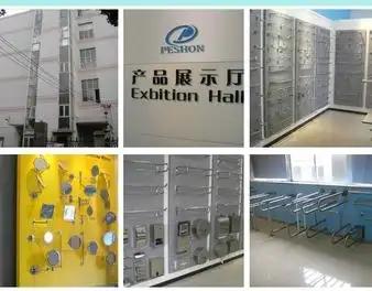 Xiamen Peshon Trading Co., Ltd.