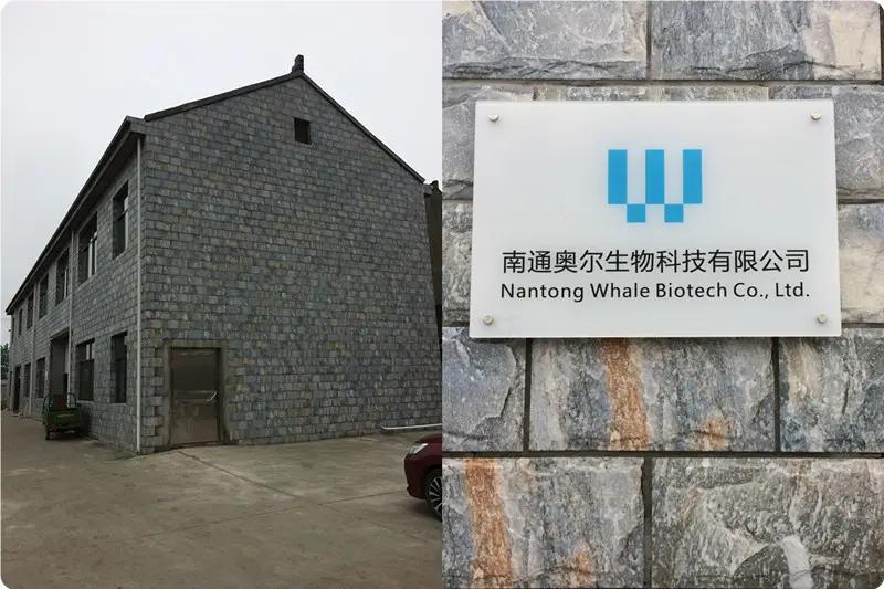 Nantong Whale Biotech Co., Ltd.