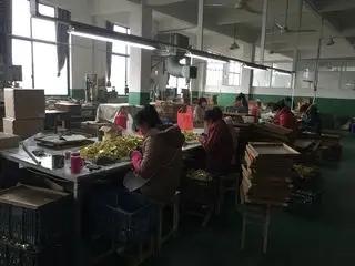 Supplier