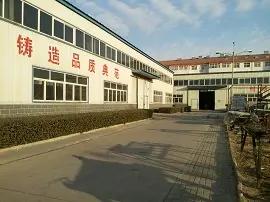 Shijiazhuang S D Company Ltd.