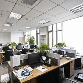 Hebei Xianen I&E. Co., Ltd.