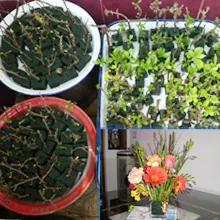 Xuzhou Huiya Imp.&exp. Co., Ltd.