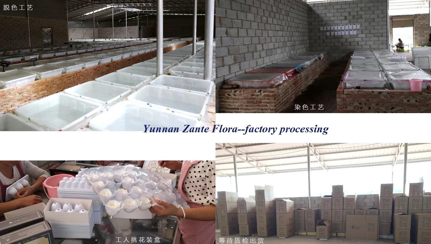Supplier