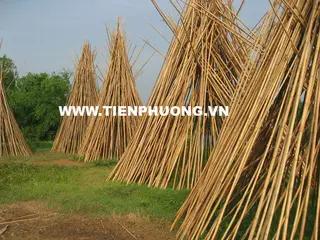 Supplier