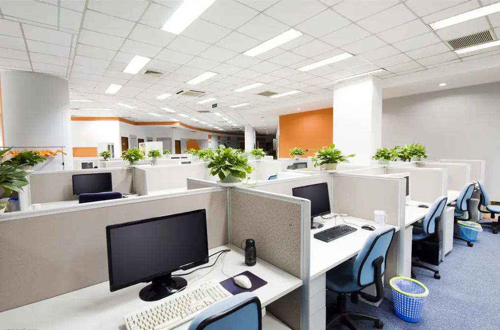 Shijiazhuang Zisa Trading Limited Co., Ltd.